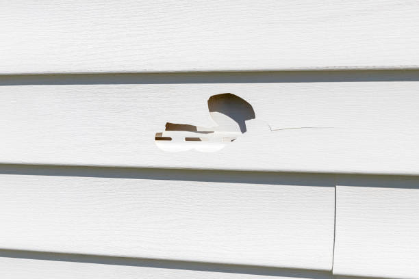 How To Choose The Right Materials for Your Siding Installation in 'Artondale, WA